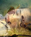 Medium Zafira - Transformation - Rider Waite Tarot - Engelkarten - Telepathie - Lenormandkarten
